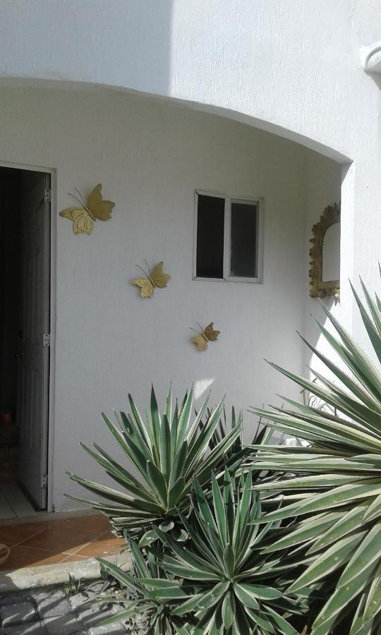 Casa Mariposas Daire Cancun Dış mekan fotoğraf