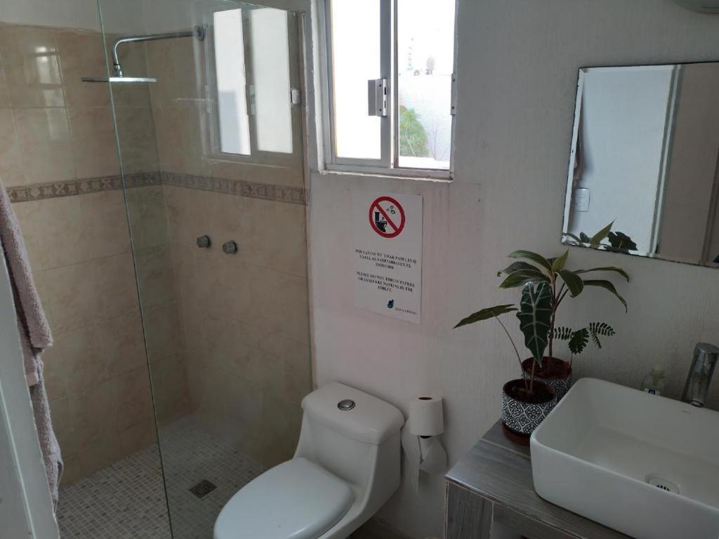 Casa Mariposas Daire Cancun Dış mekan fotoğraf